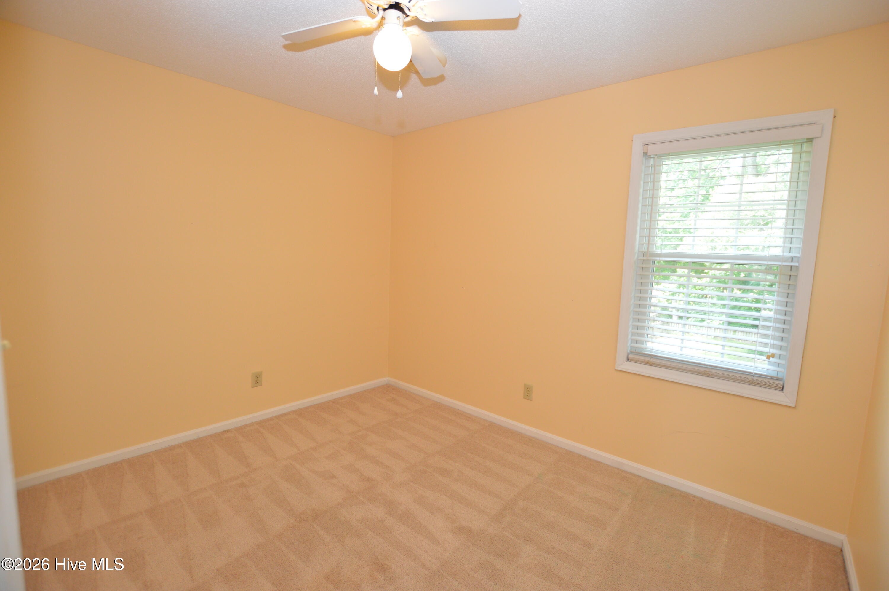 100547848 | Photo 19