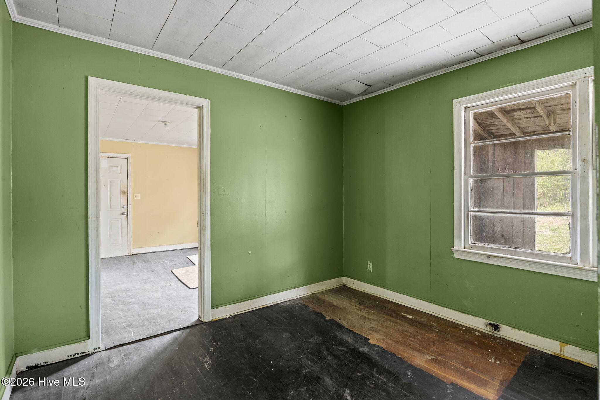 100565134 | Photo 33