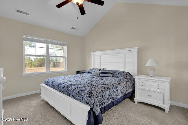 100545238 | Photo 10