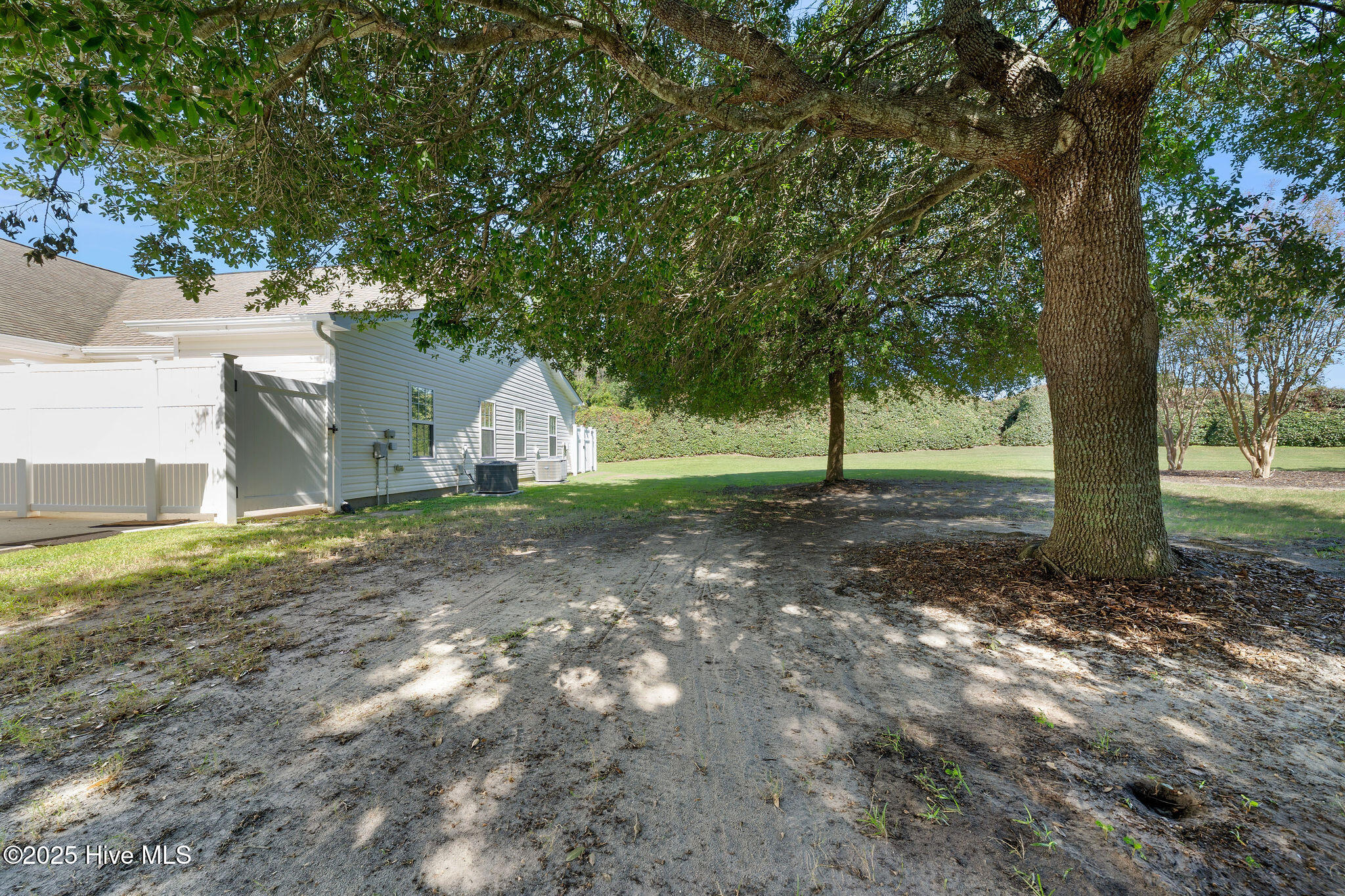 100529129 | Photo 14