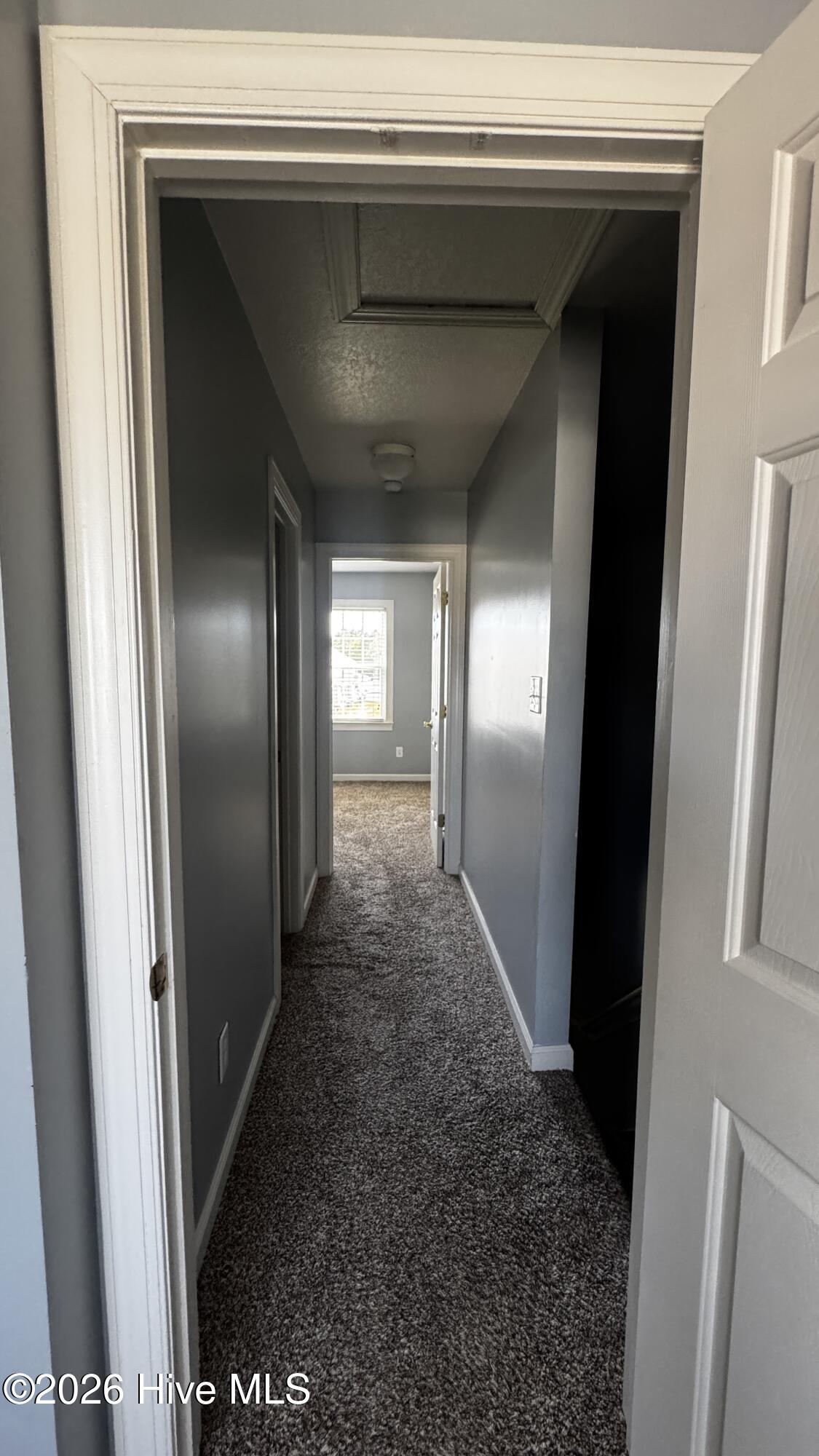 100557975 | Photo 12