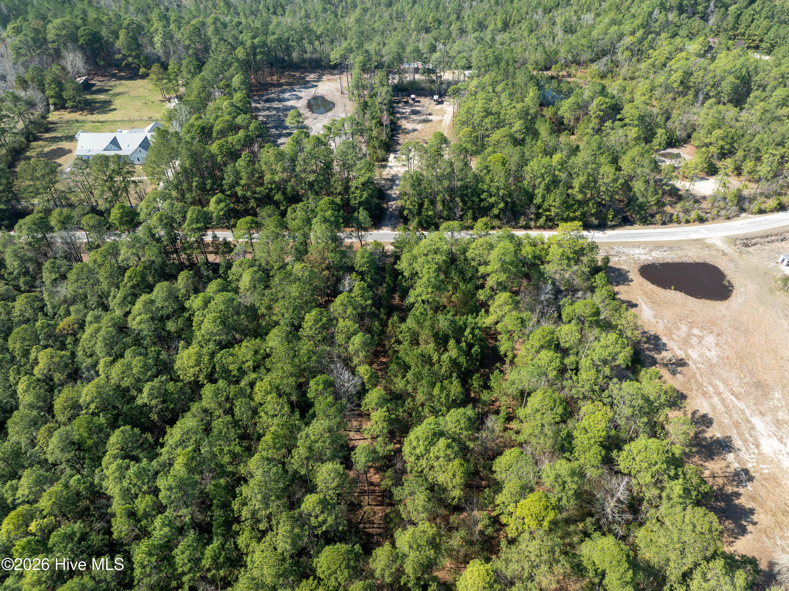 100559861 | Photo 11