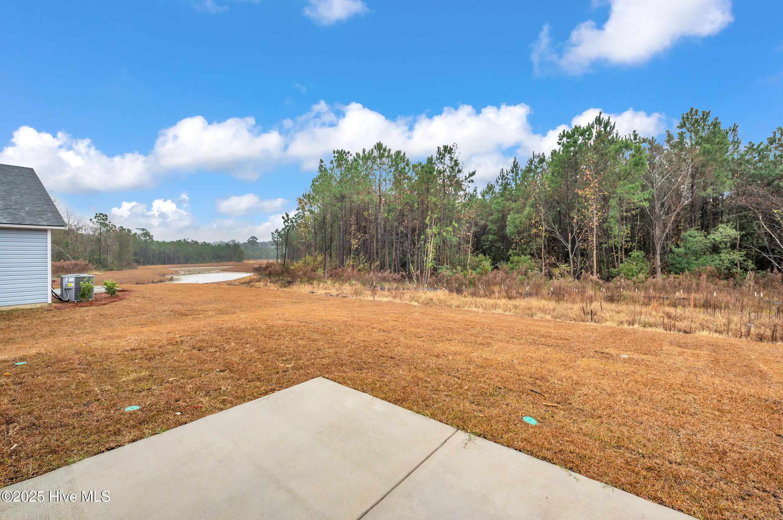 100544665 | Photo 32