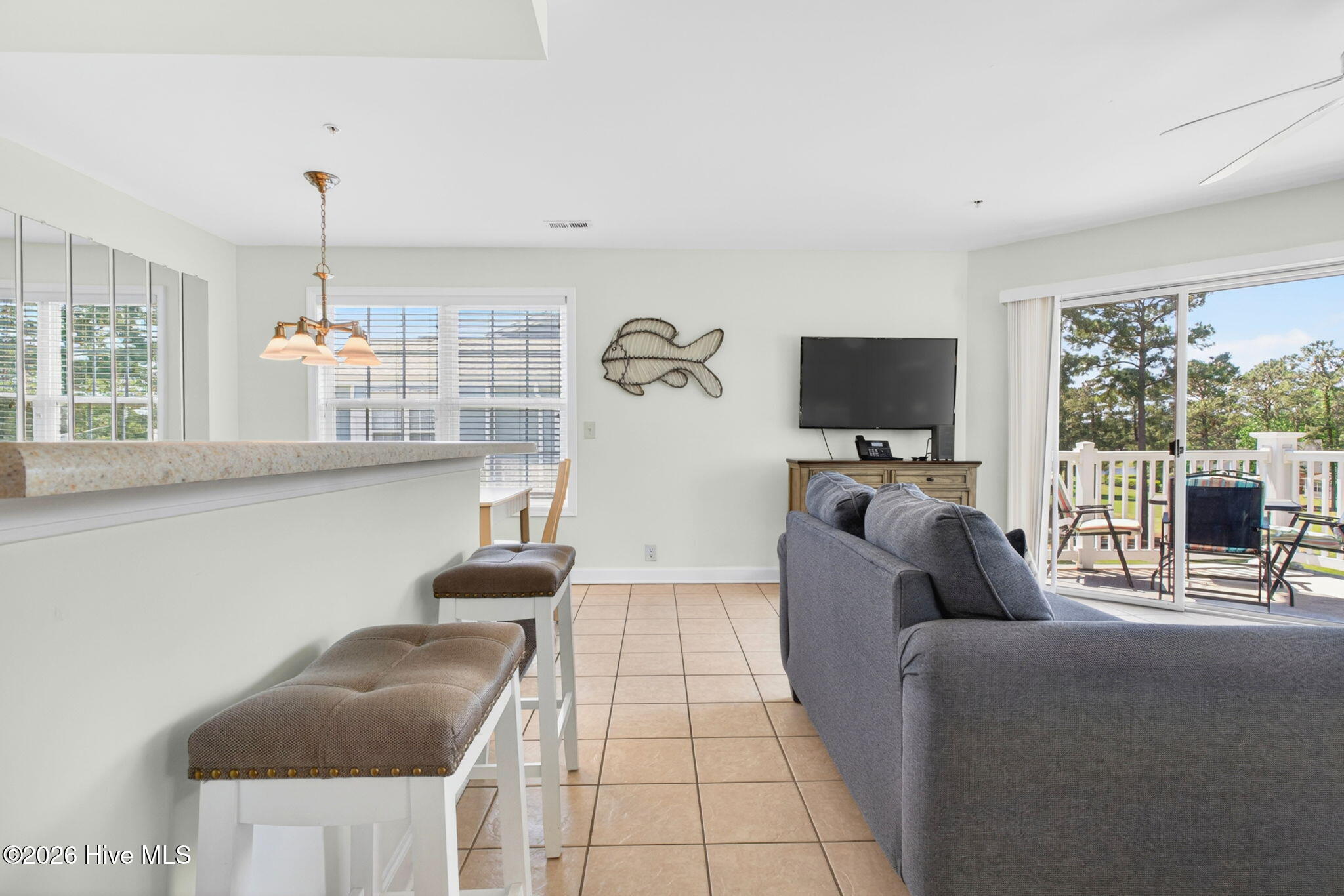 100569231 | Photo 21