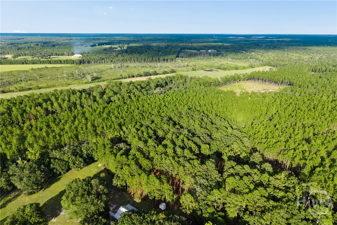 Photo 3 of Land for sale at 0 Bub, Ellabell, GA 31308 | MLS# SA364887 | Listing updated on 2026-09-30