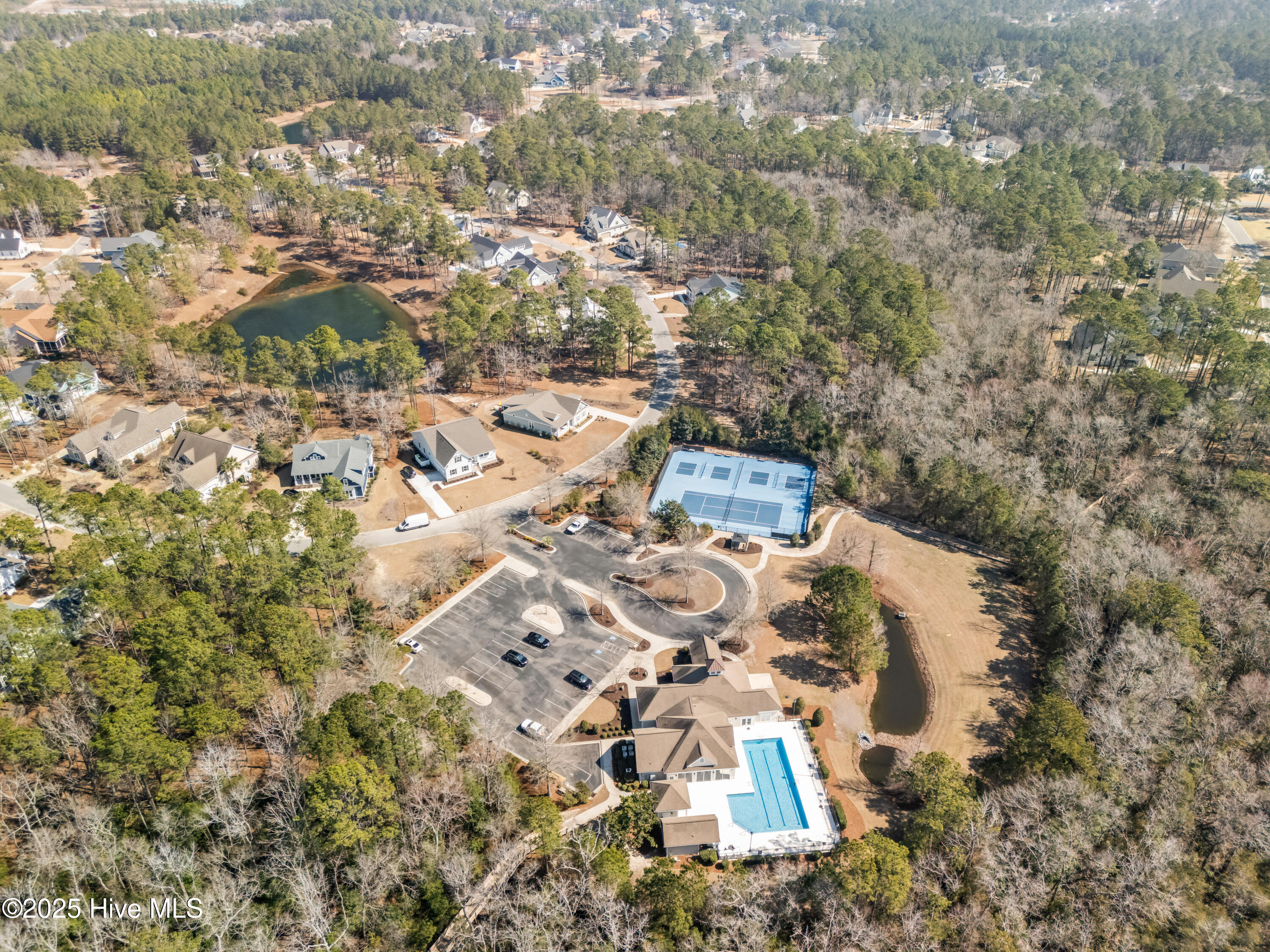 100532334 | Photo 74