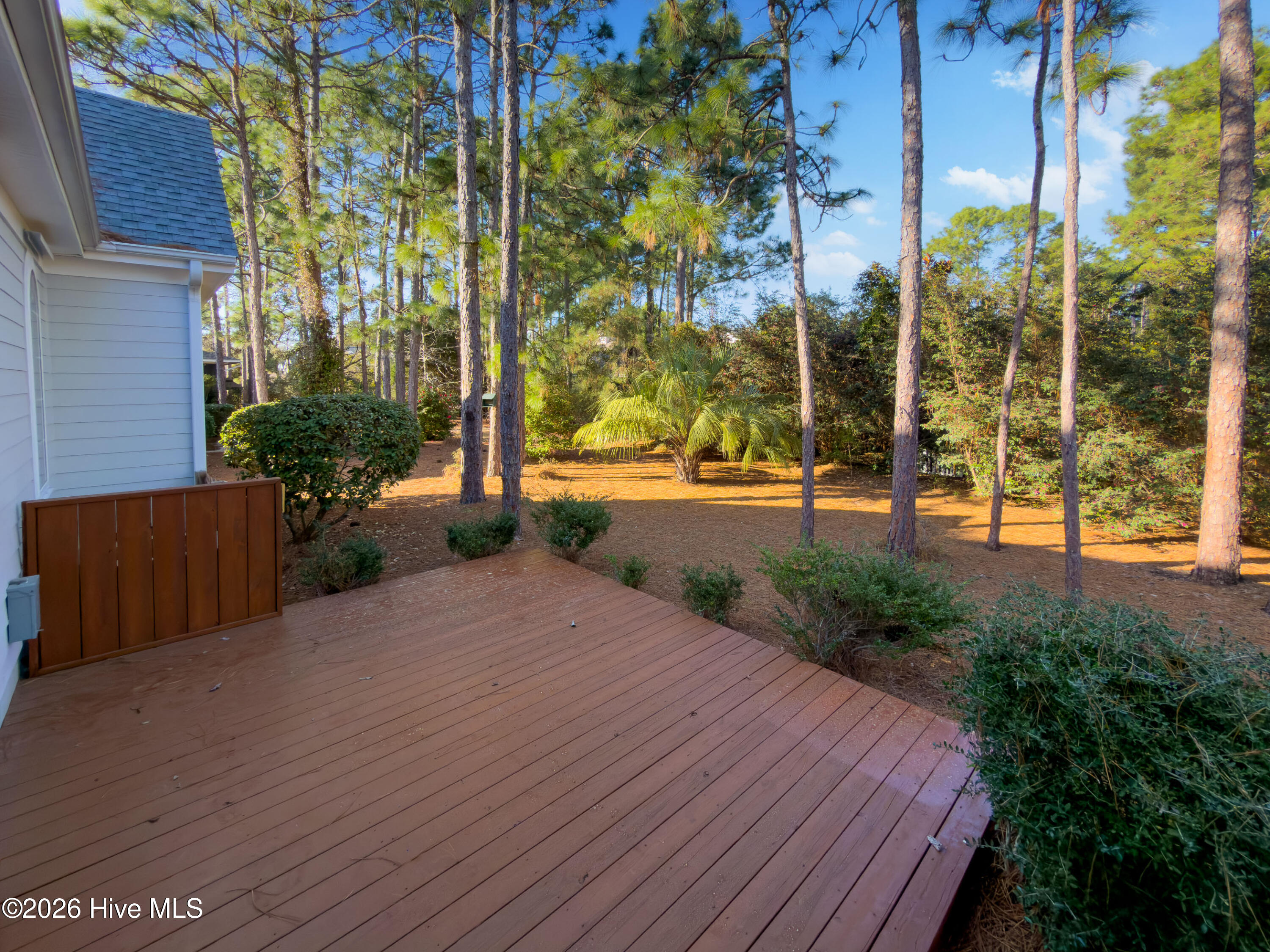 100558989 | Photo 39