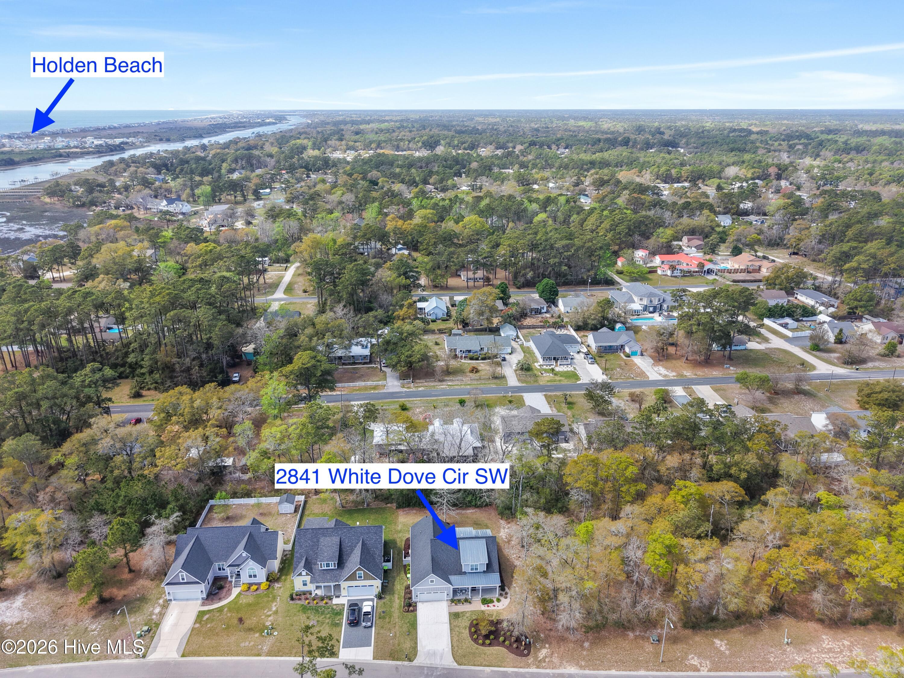 100565017 | Photo 67