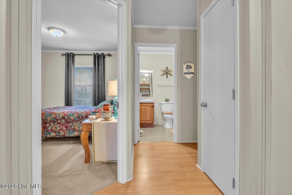 100554513 | Photo 37