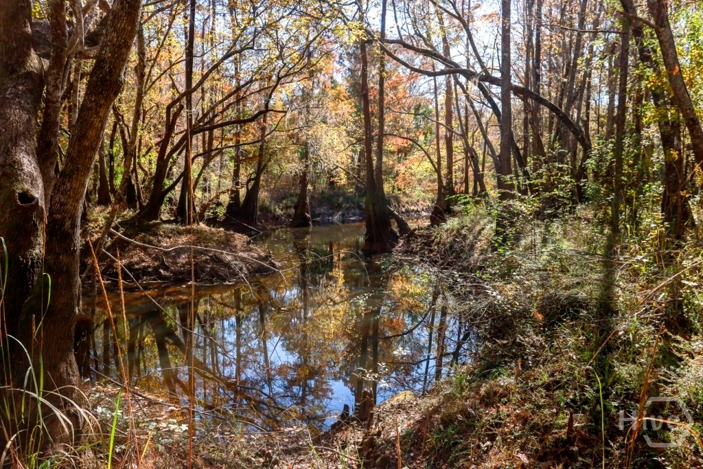 109 & 113 Clay Street, Wilmington, NC, 28405