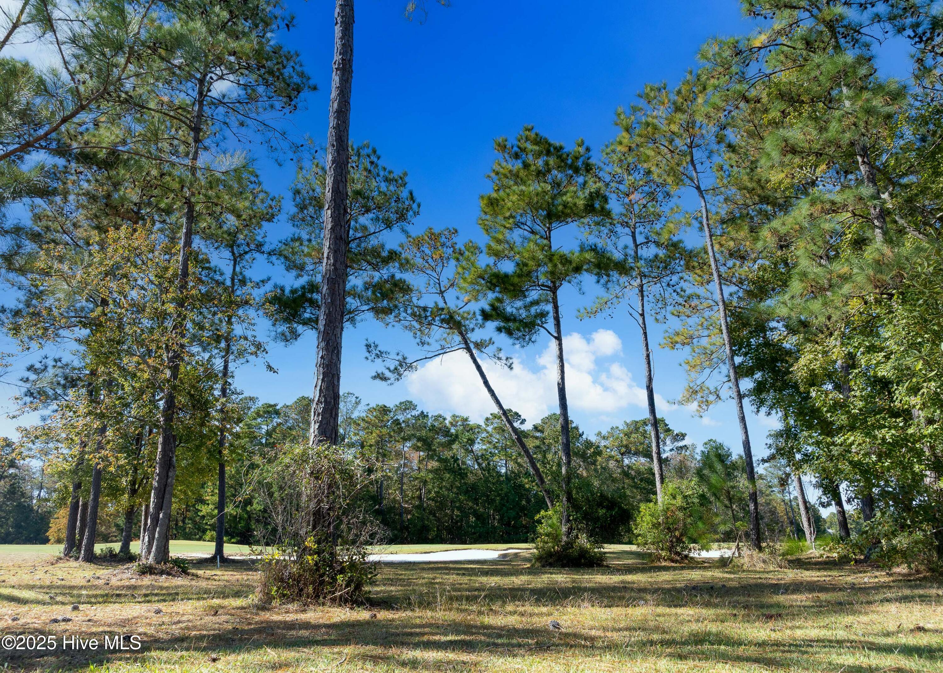 100539491 | Photo 24