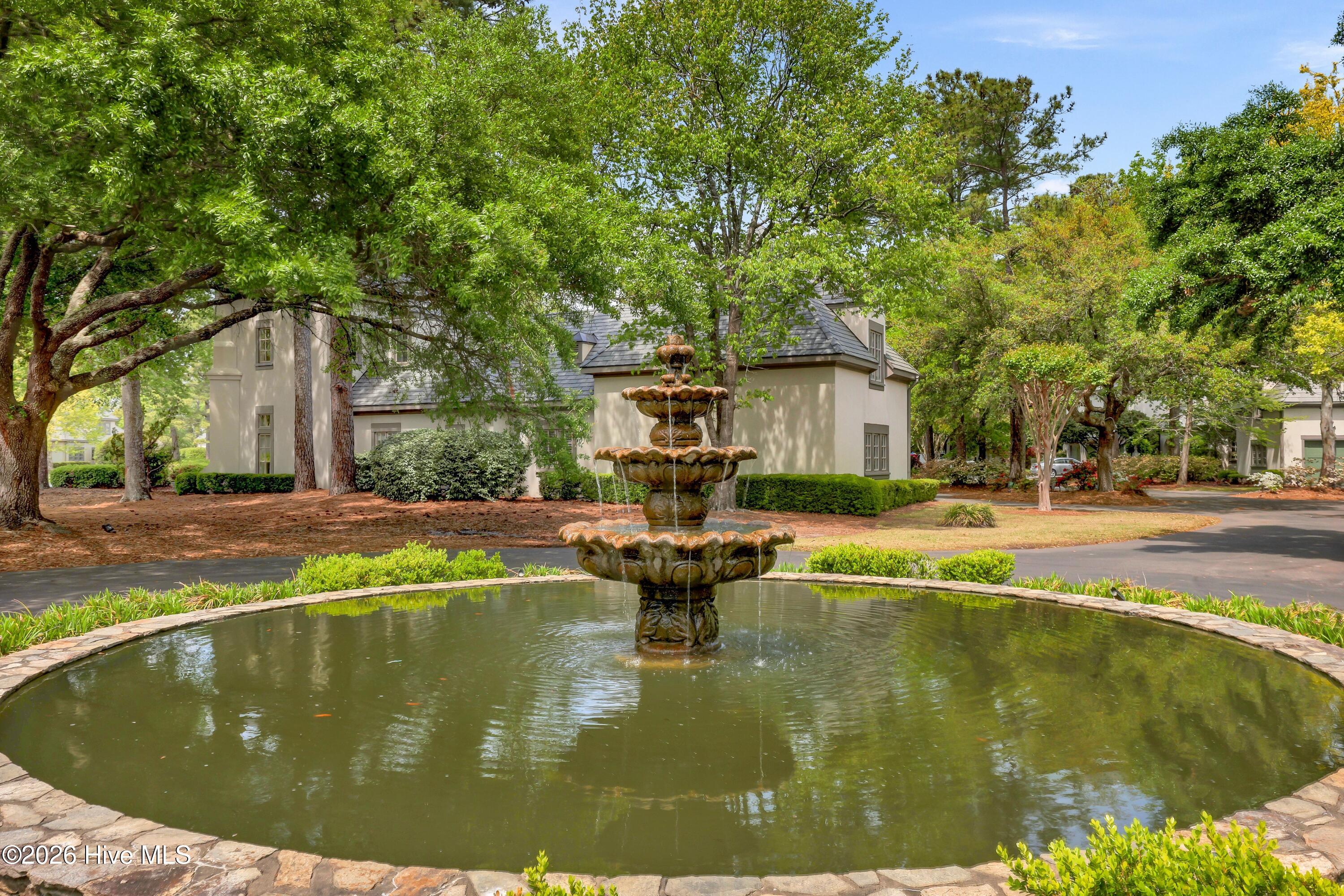 100567491 | Photo 47