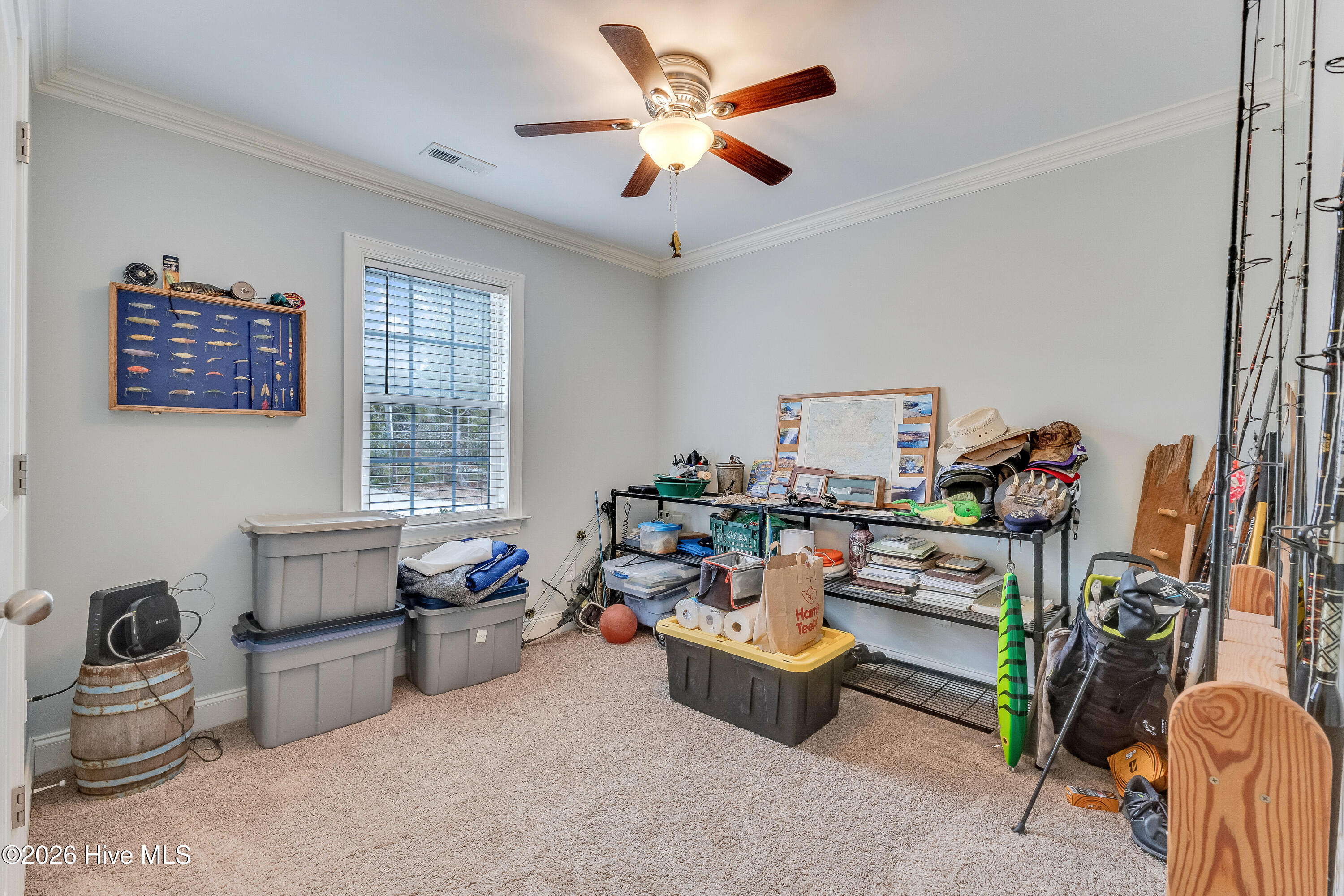 100551566 | Photo 27