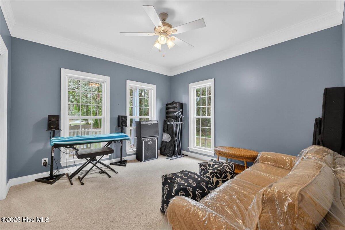 100530504 | Photo 31