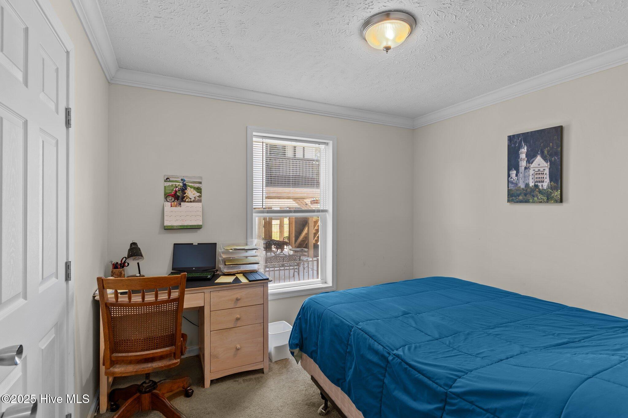 100509442 | Photo 14