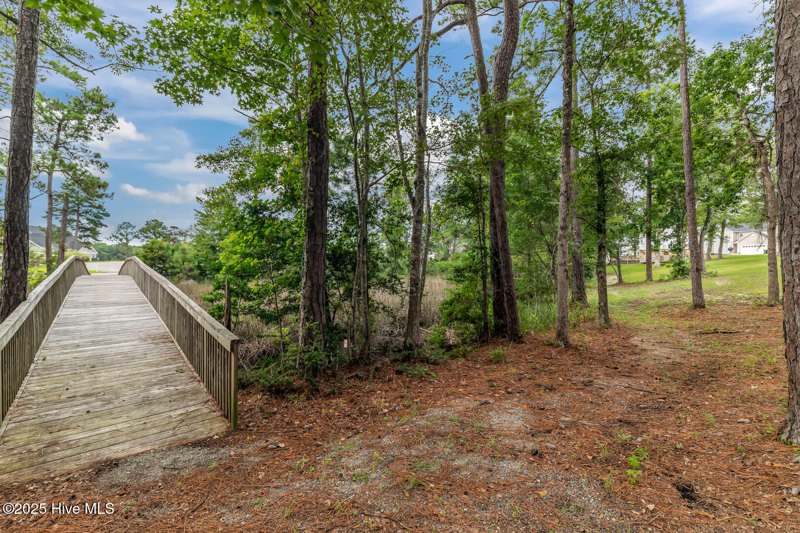 100544097 | Photo 71