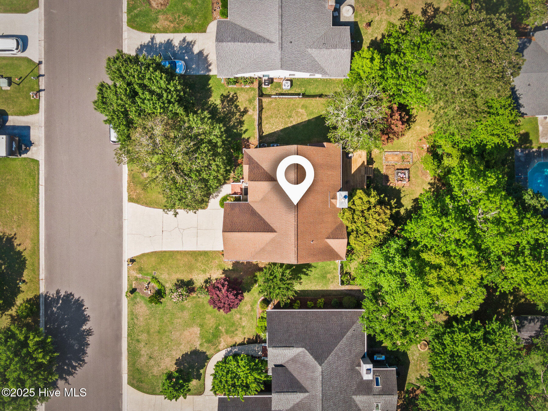 100505996 | Photo 43