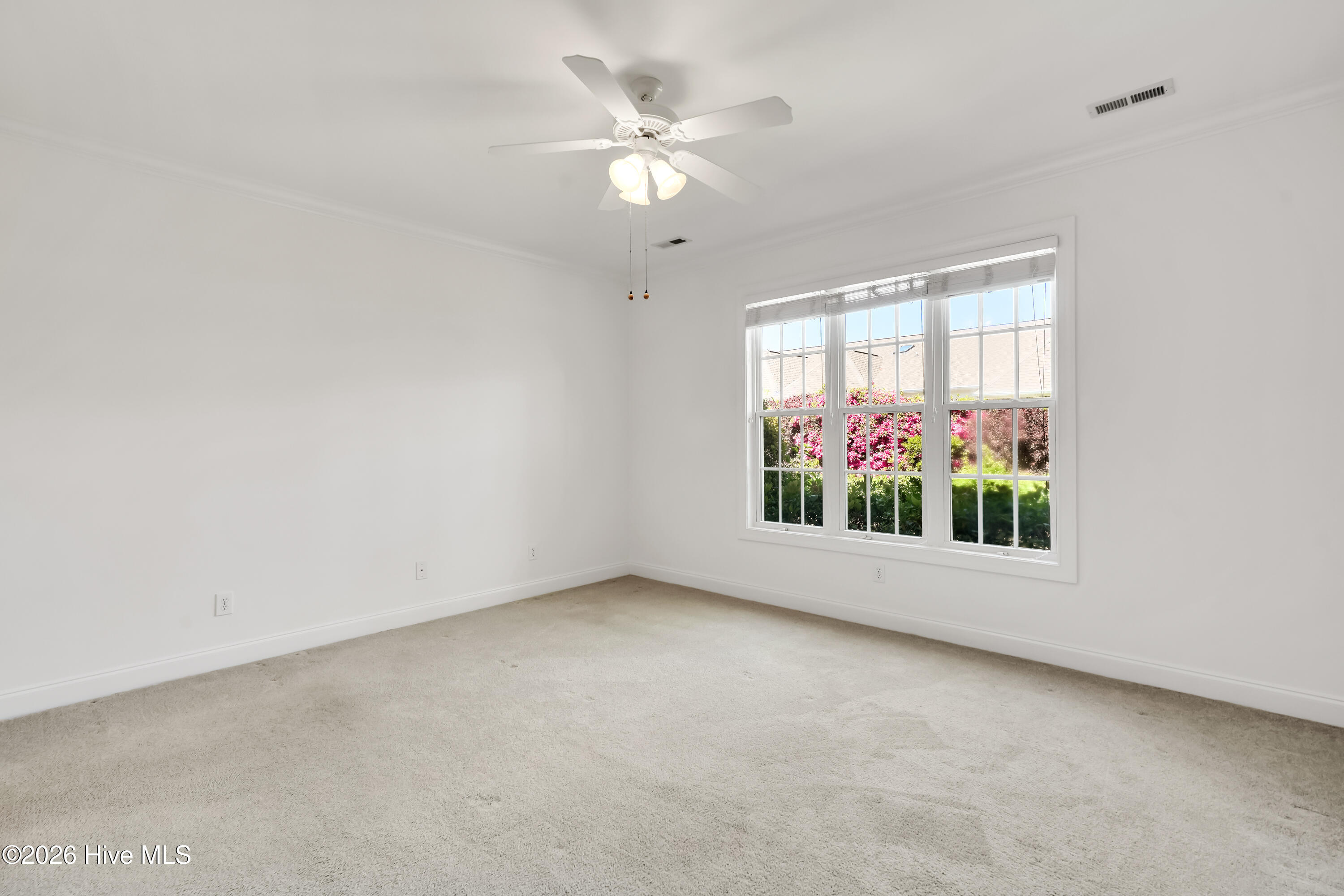 100554924 | Photo 18