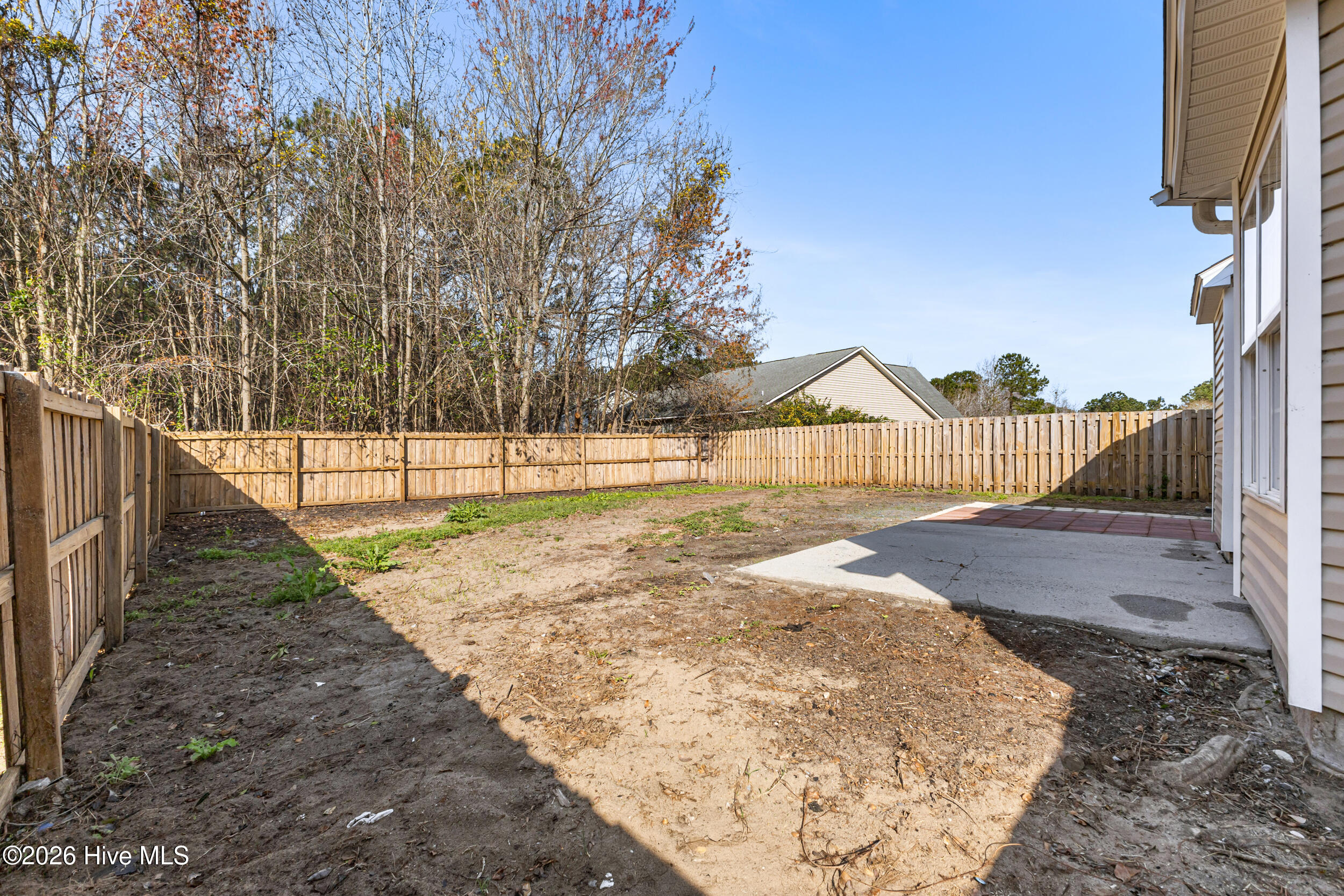 100559842 | Photo 32