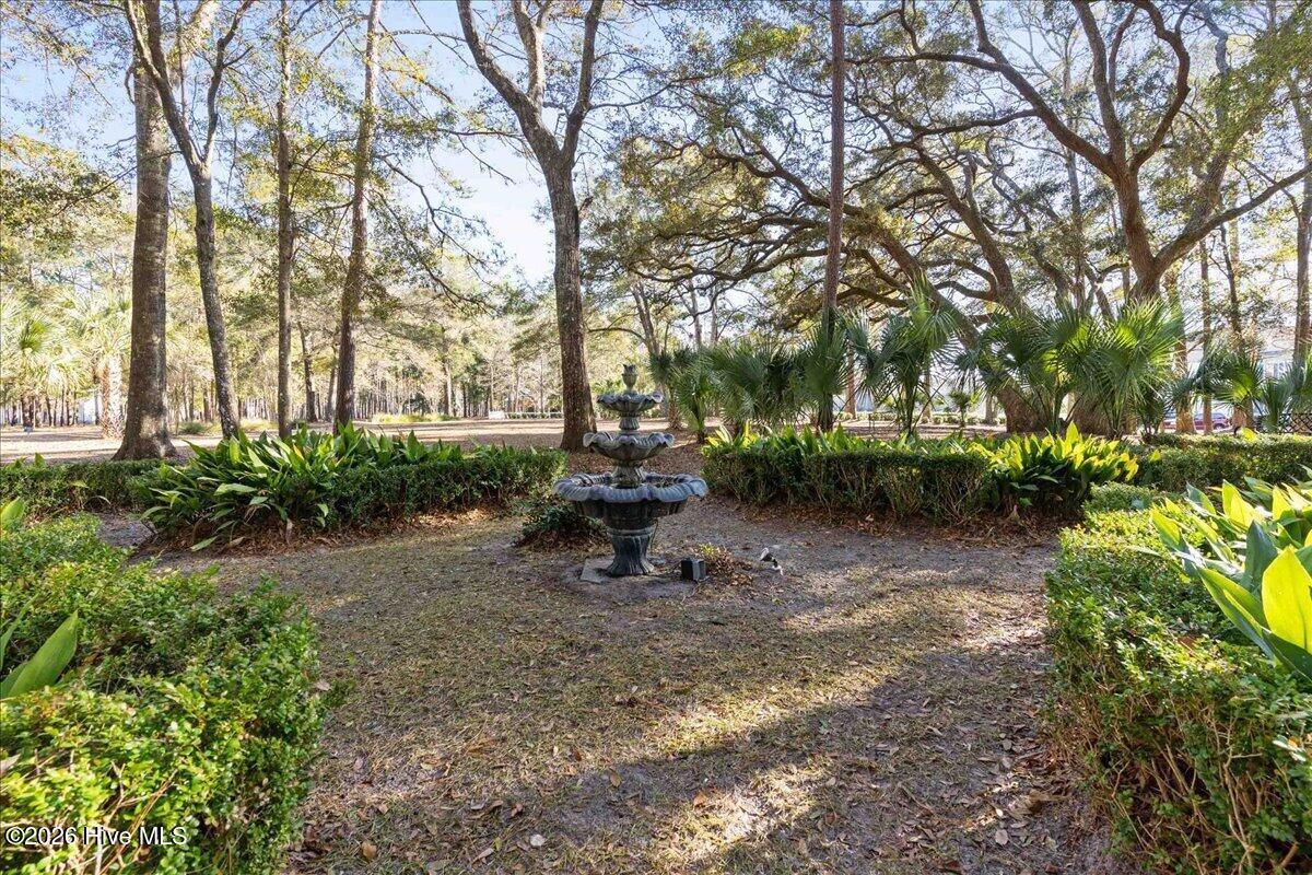 100549315 | Photo 15