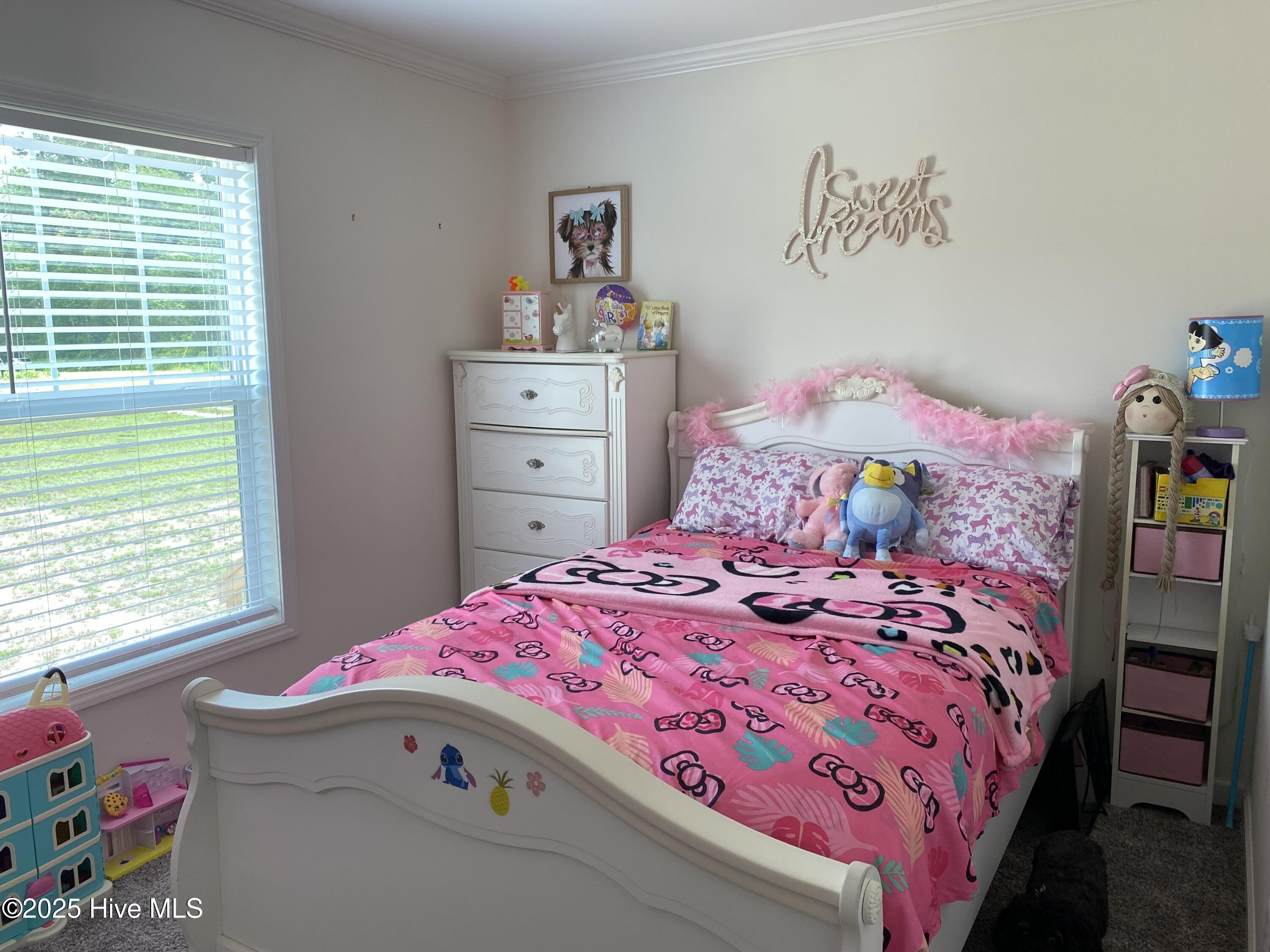 100512379 | Photo 14