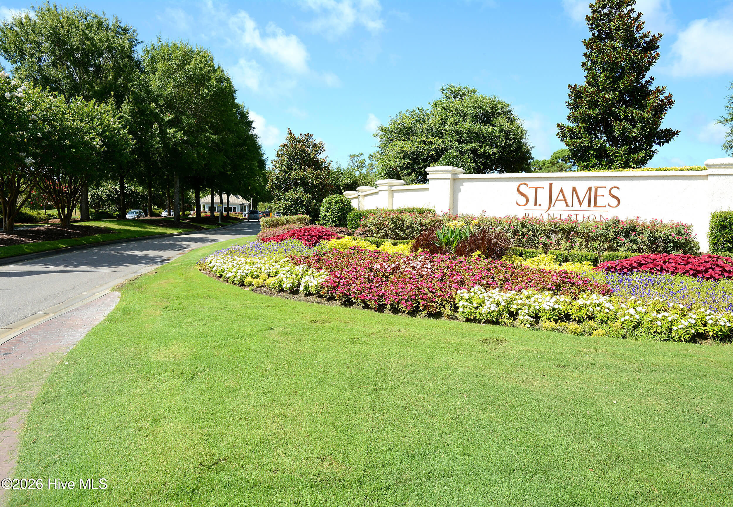 100555915 | Photo 63