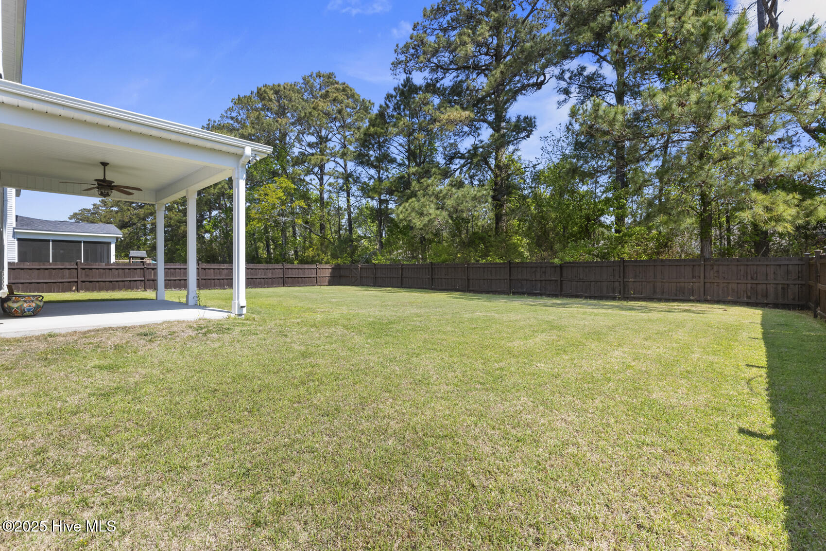 100501519 | Photo 50