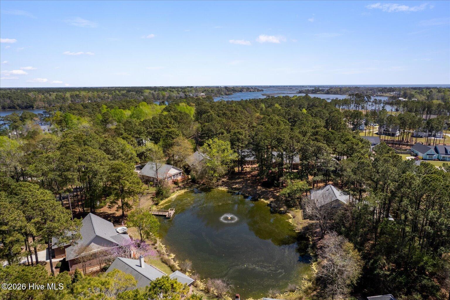 100564085 | Photo 41