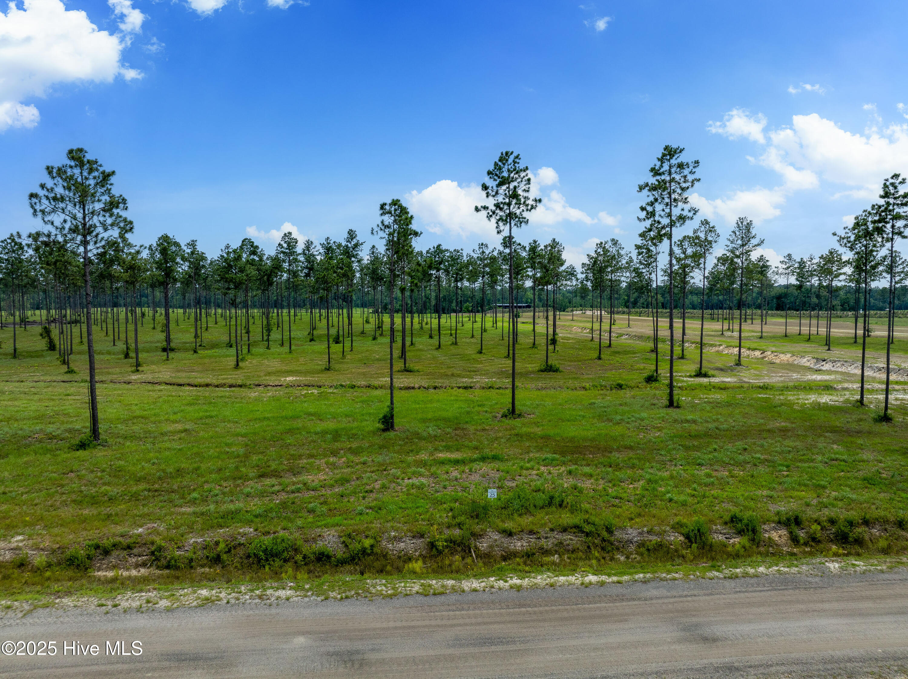 100520208 | Photo 13