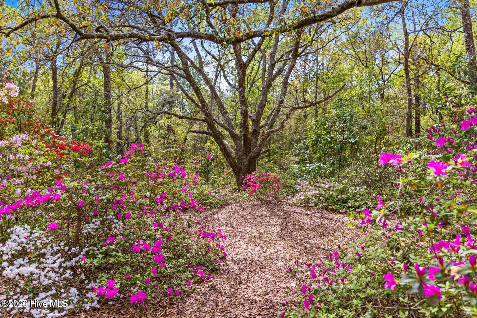 100548407 | Photo 18