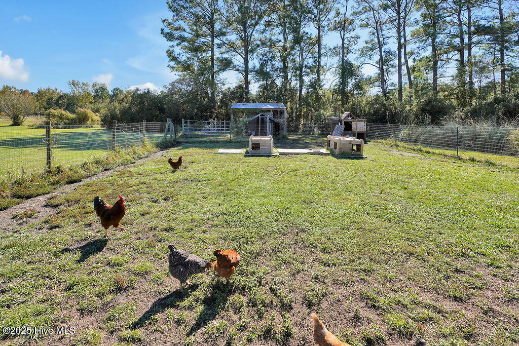 100537845 | Photo 55