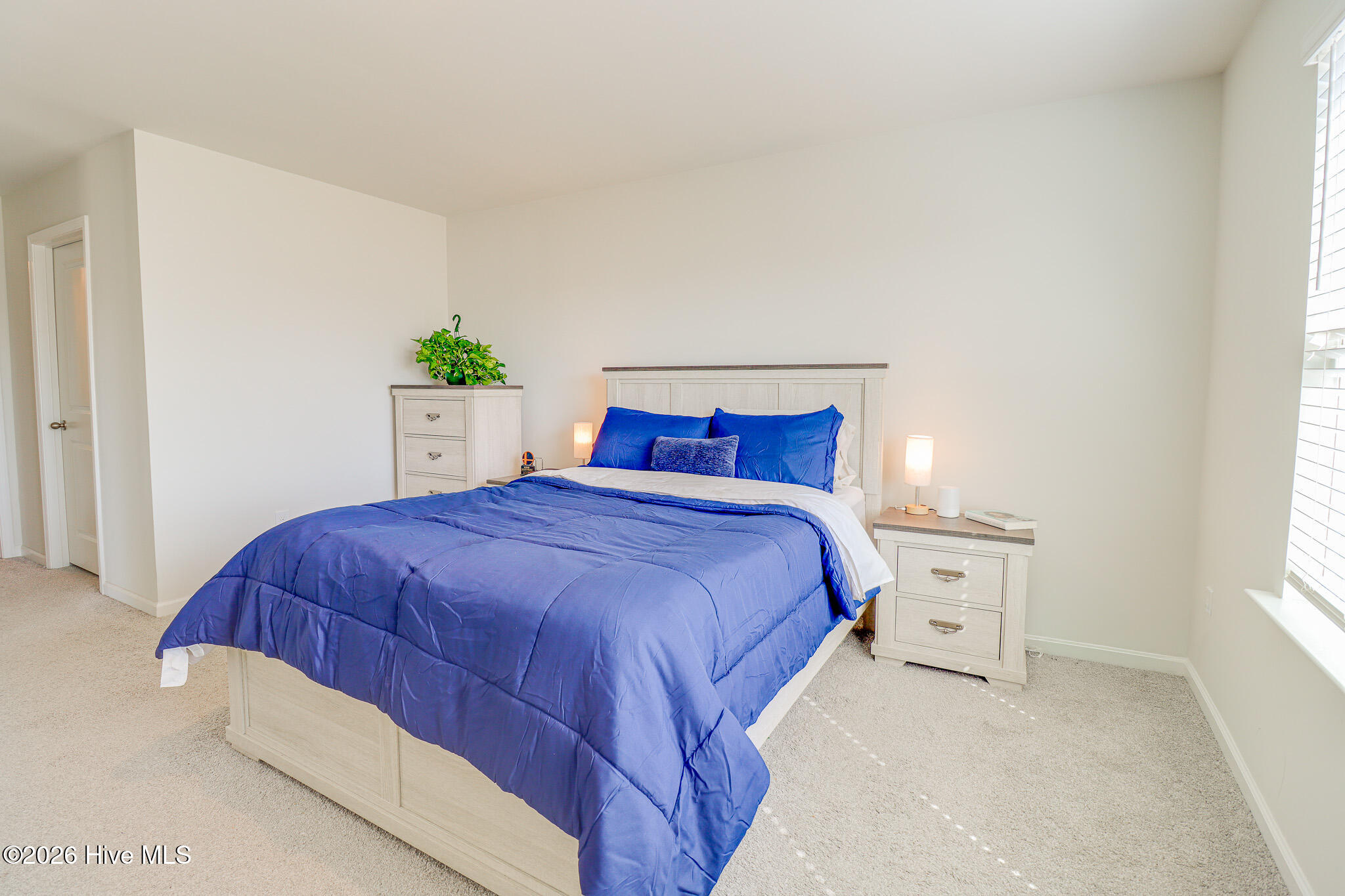 100569775 | Photo 15