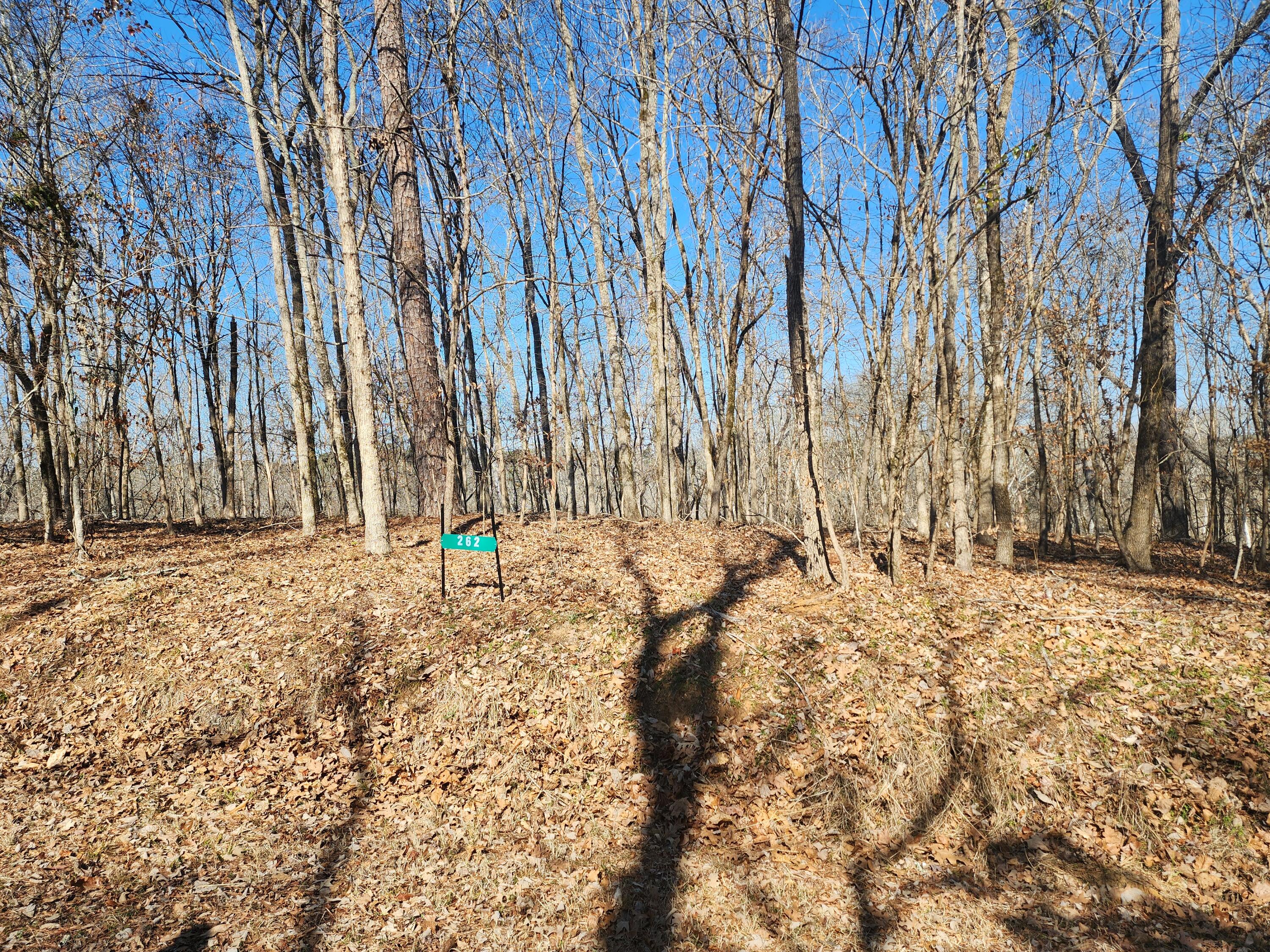 Homes for sale in Clarks Hill, SC | 262 Goose Rd, Clarks Hill, SC 29821 | MLS# 551987