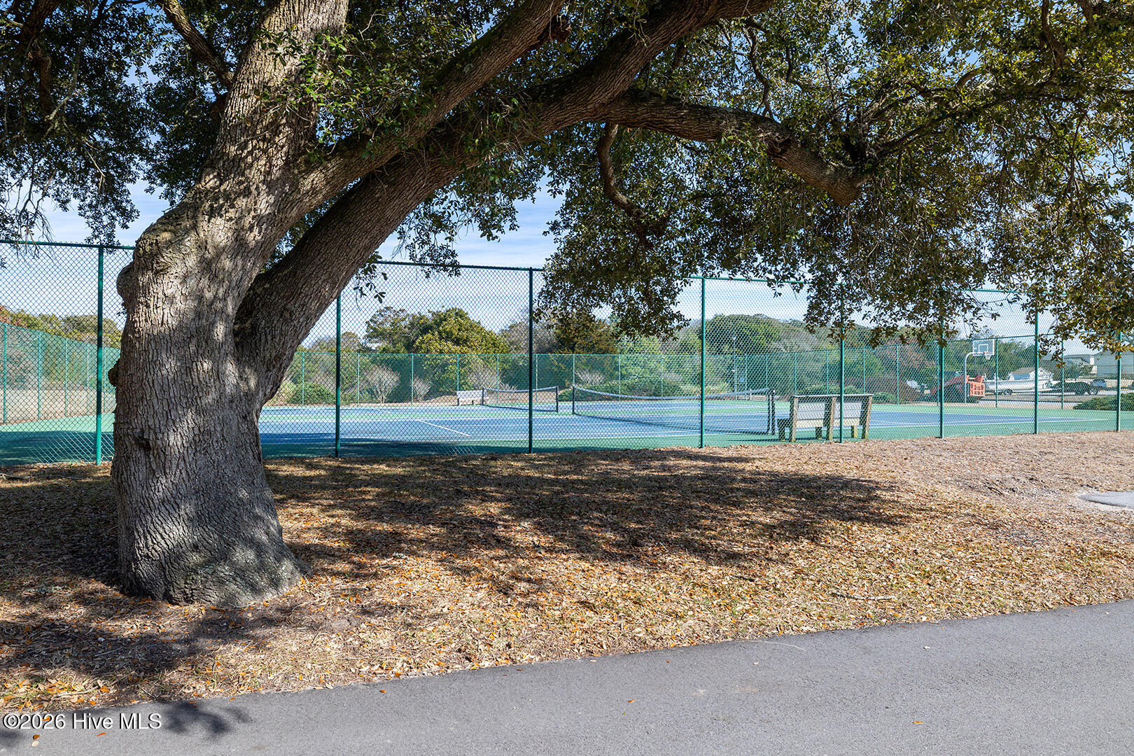 100562169 | Photo 30