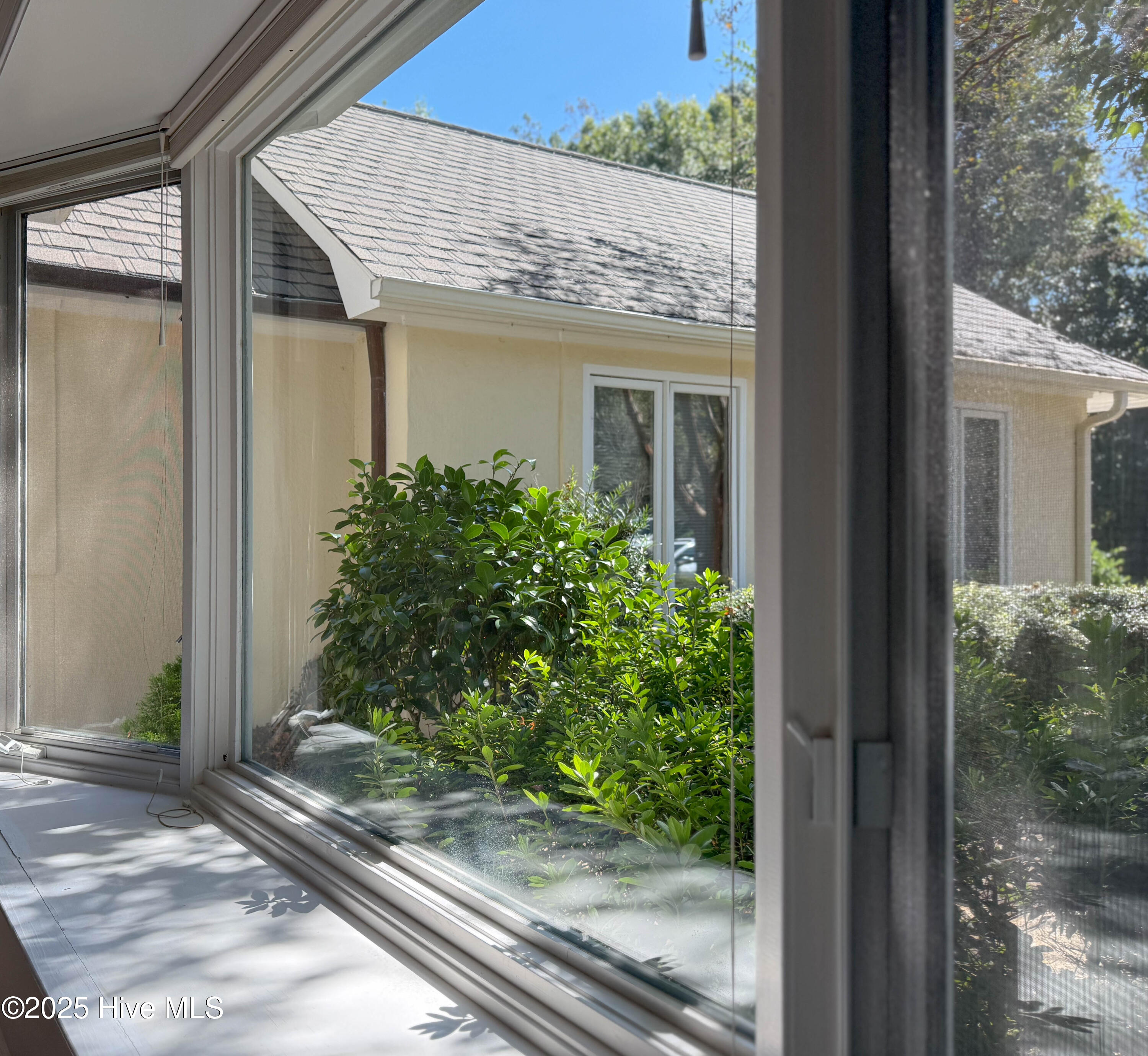 100535071 | Photo 35