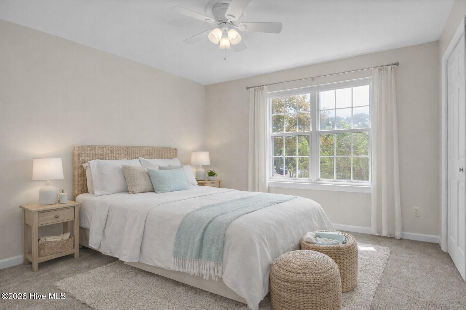 100559501 | Photo 18