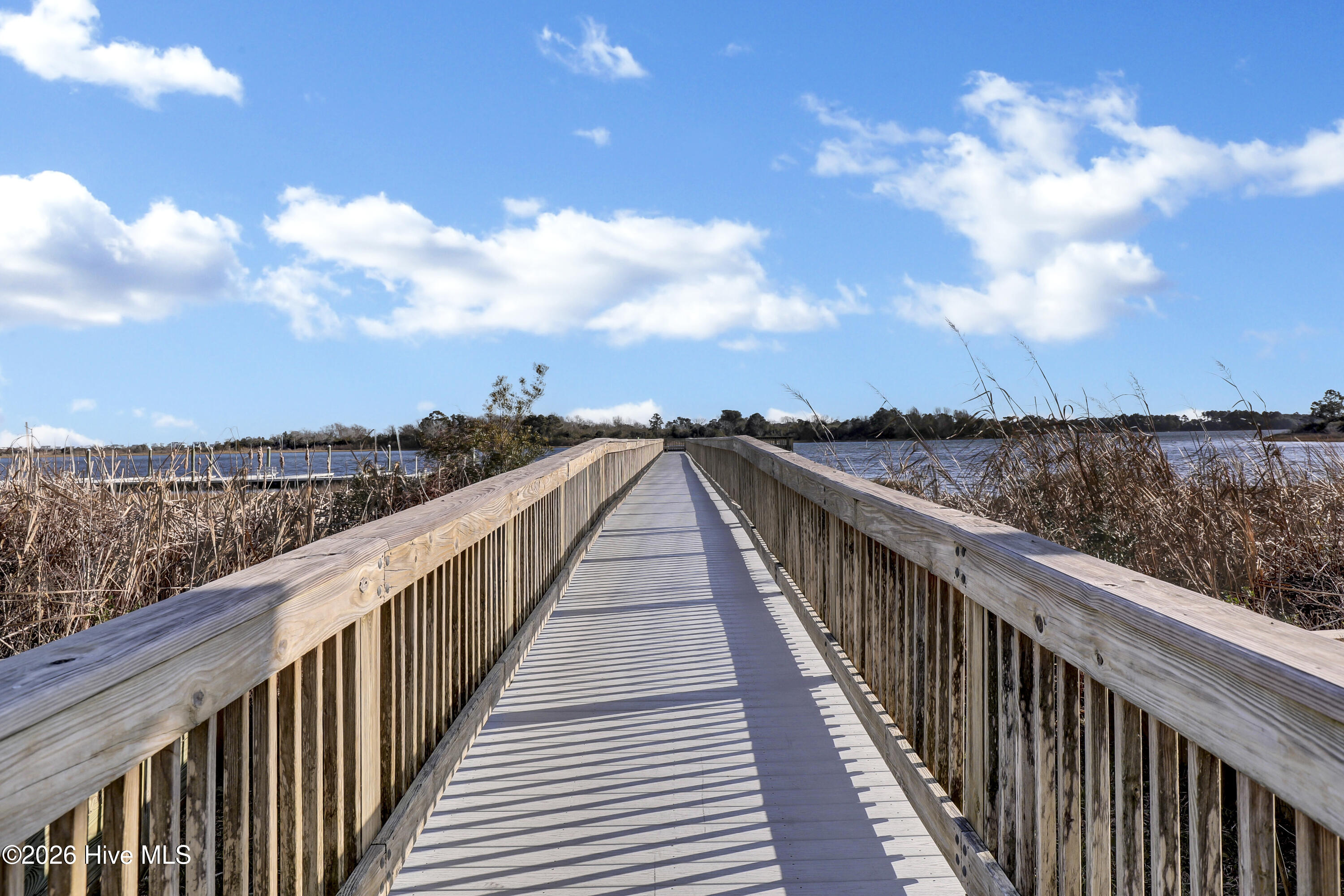 100566719 | Photo 50