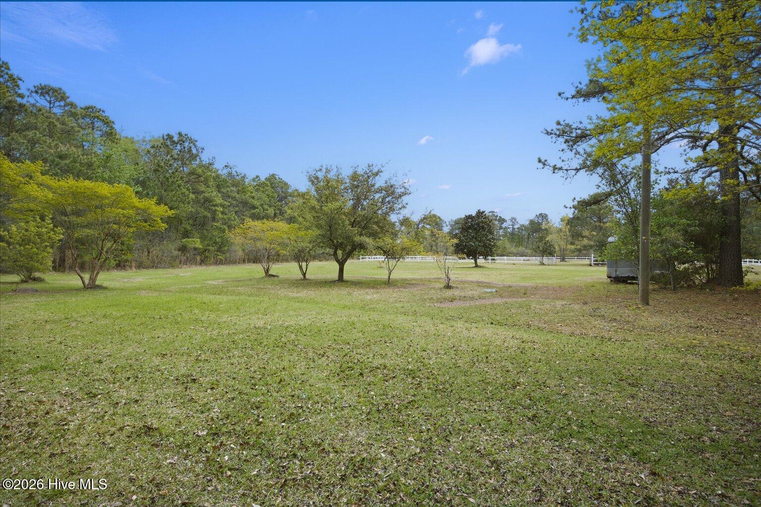 100566631 | Photo 34