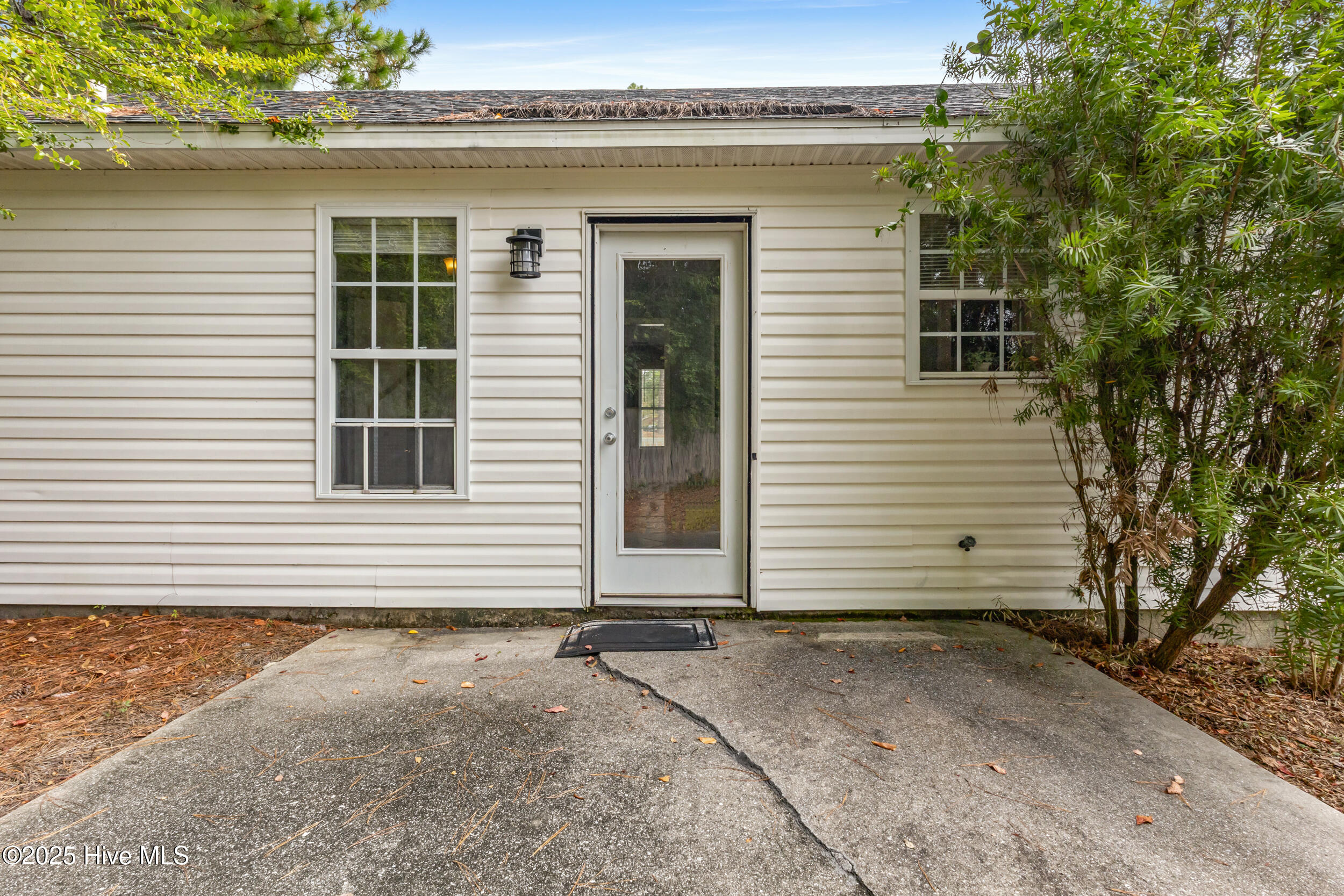 100530409 | Photo 18