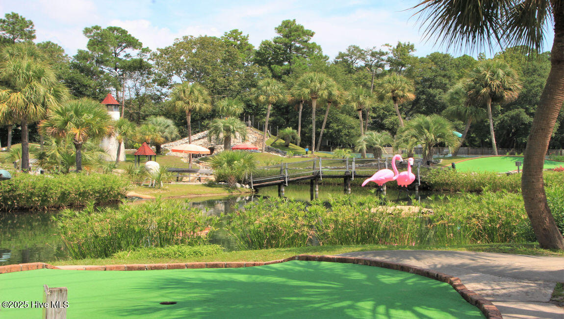 100571399 | Photo 24