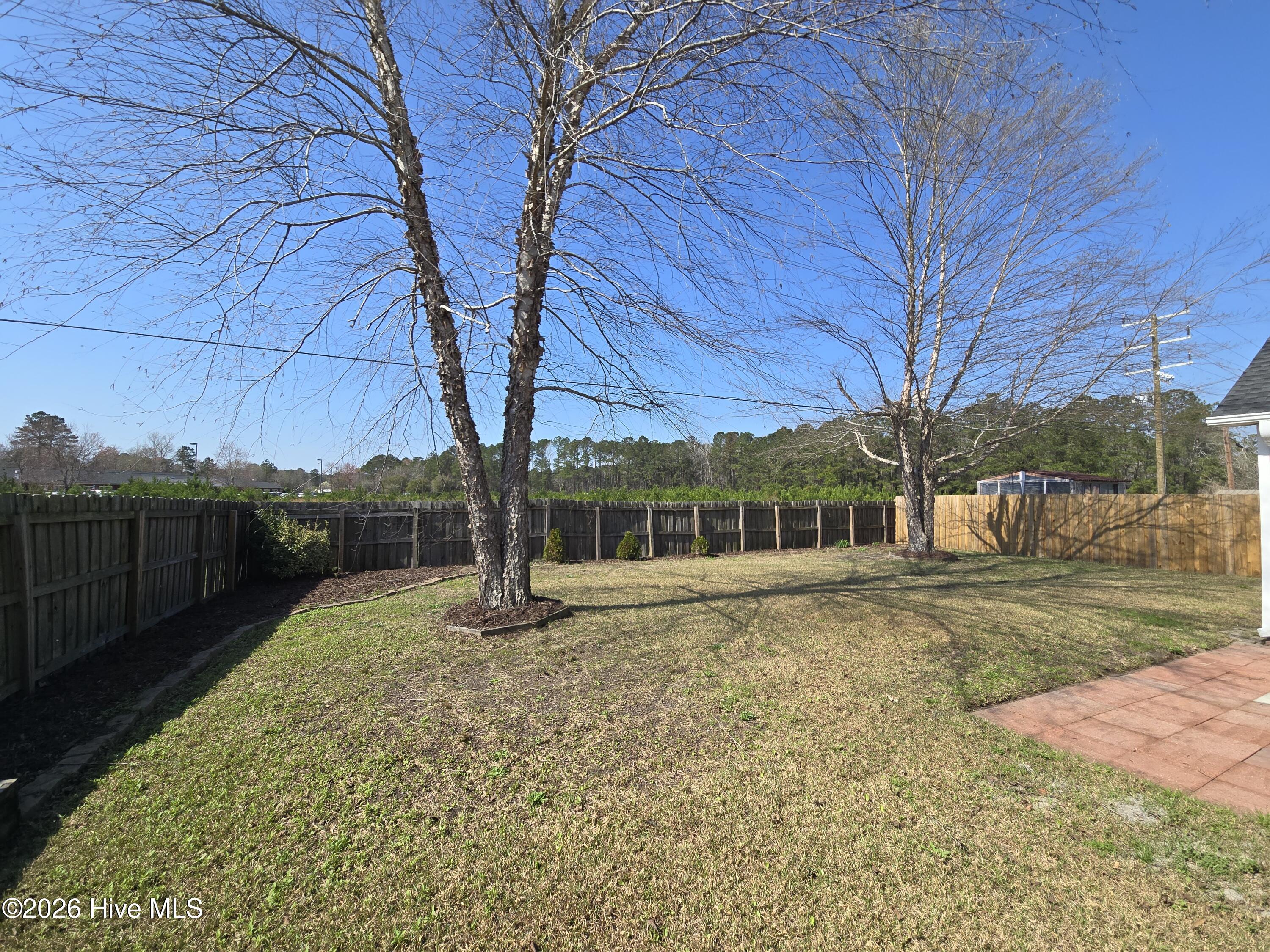 100556334 | Photo 20