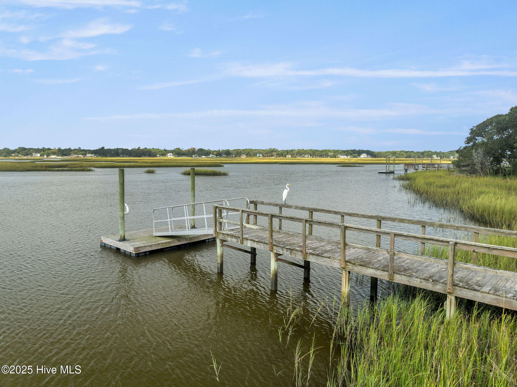 100488997 | Photo 102