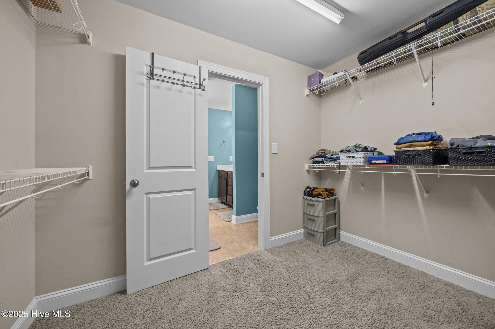 100533509 | Photo 24