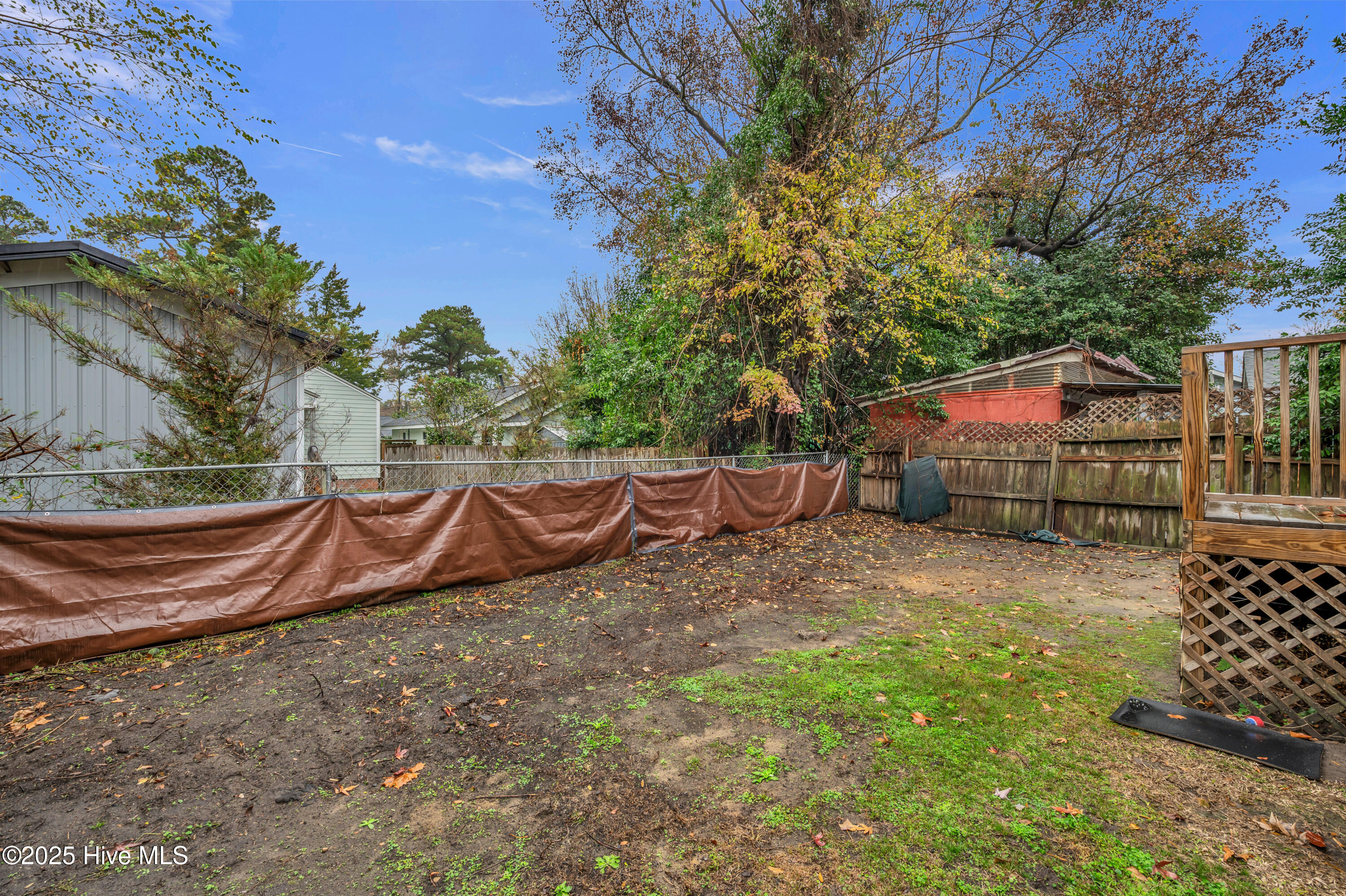 100543945 | Photo 30