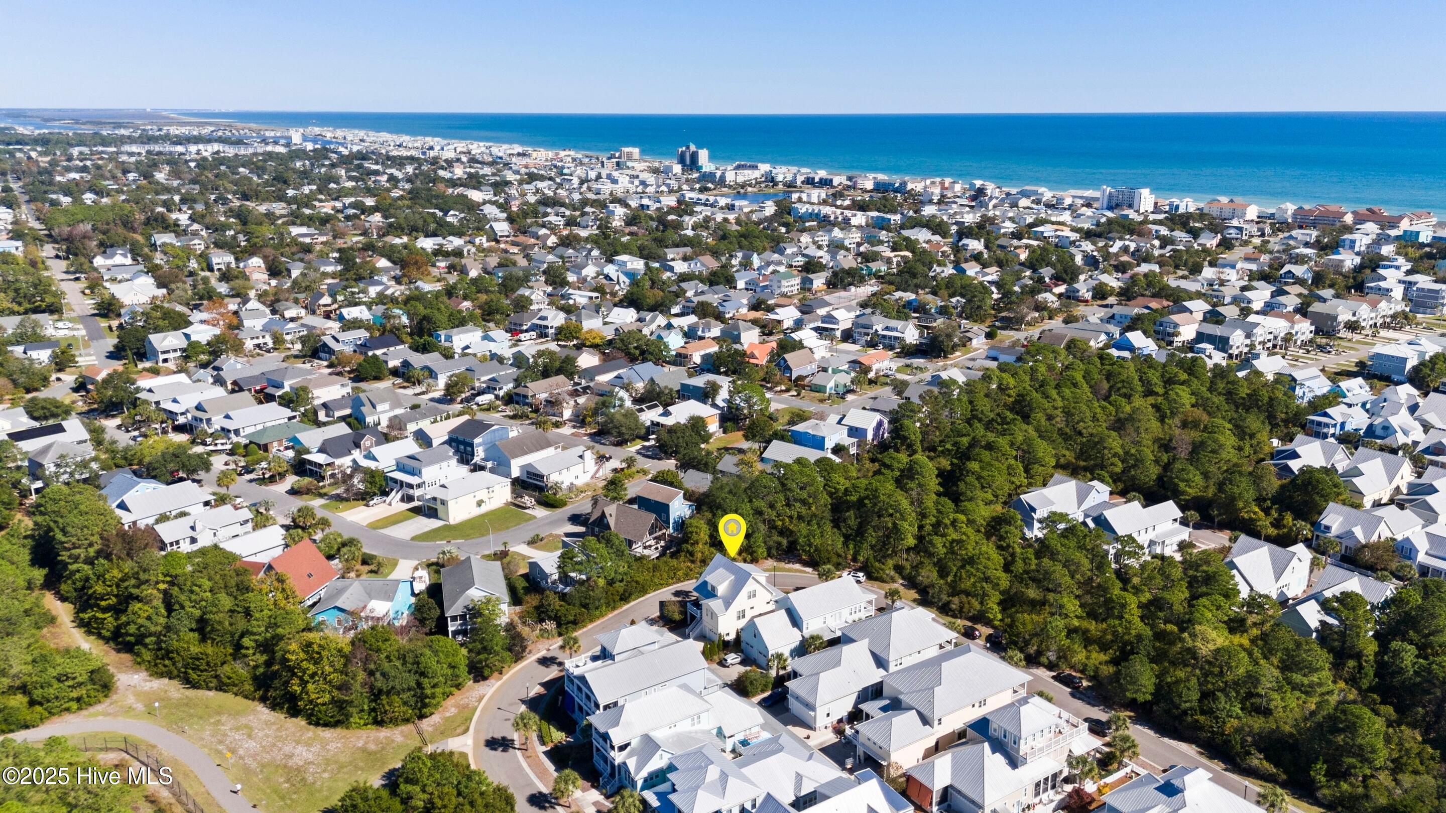 100536198 | Photo 15