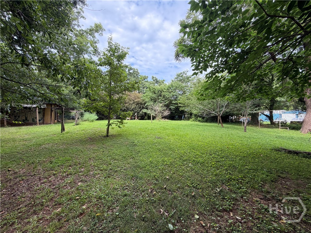 Backyard (view from the rear of yard towards house)