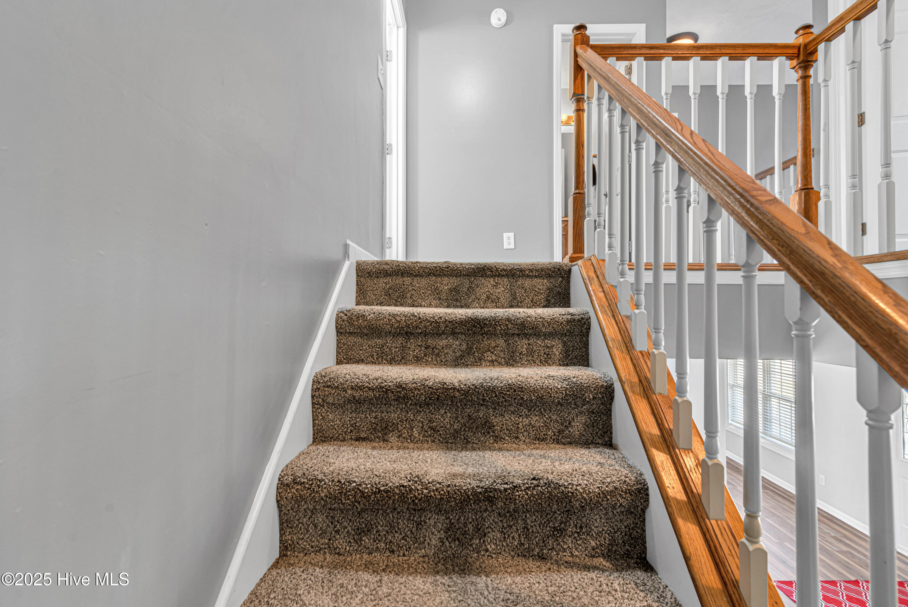 100543275 | Photo 22