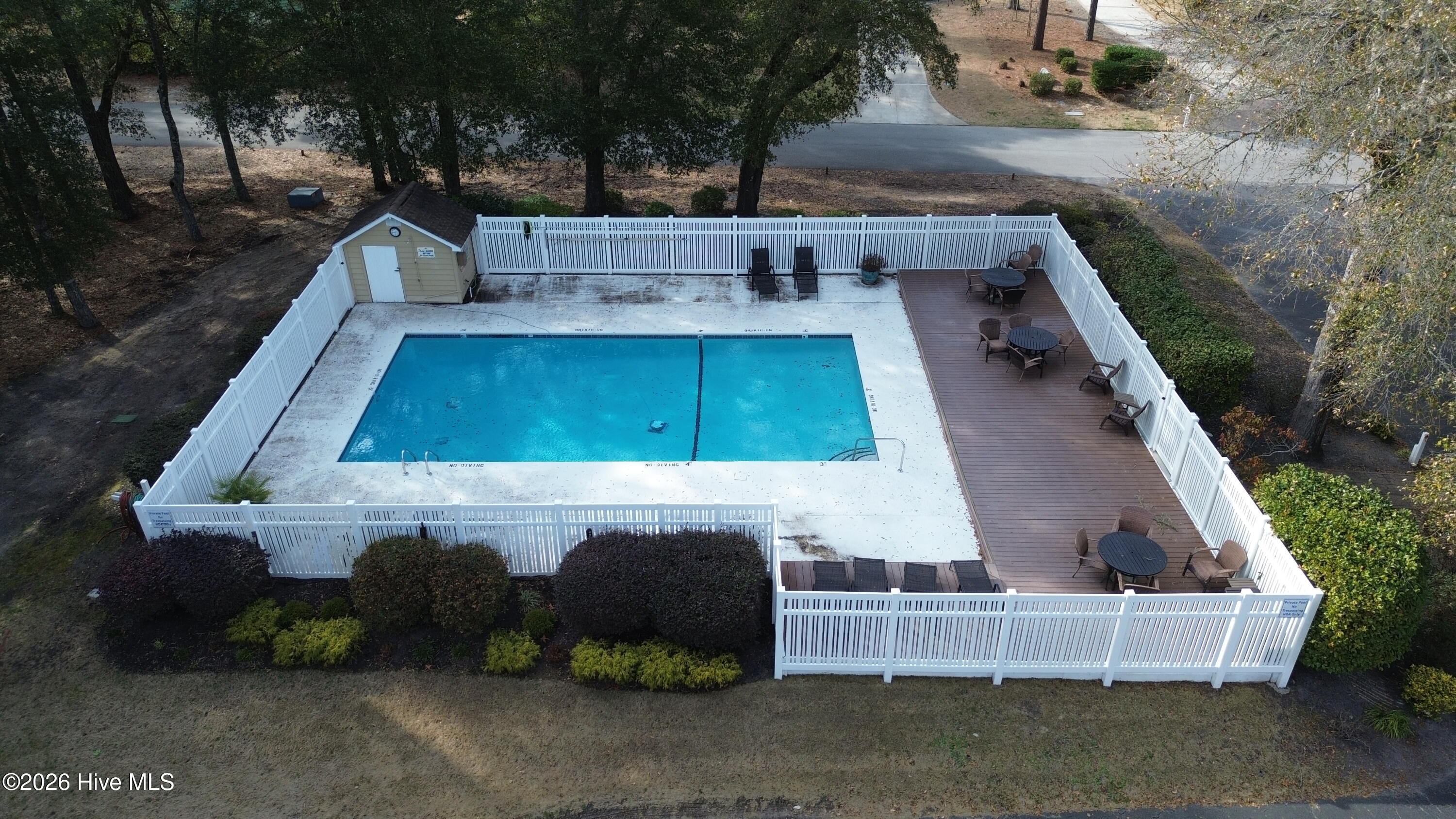 100556629 | Photo 51