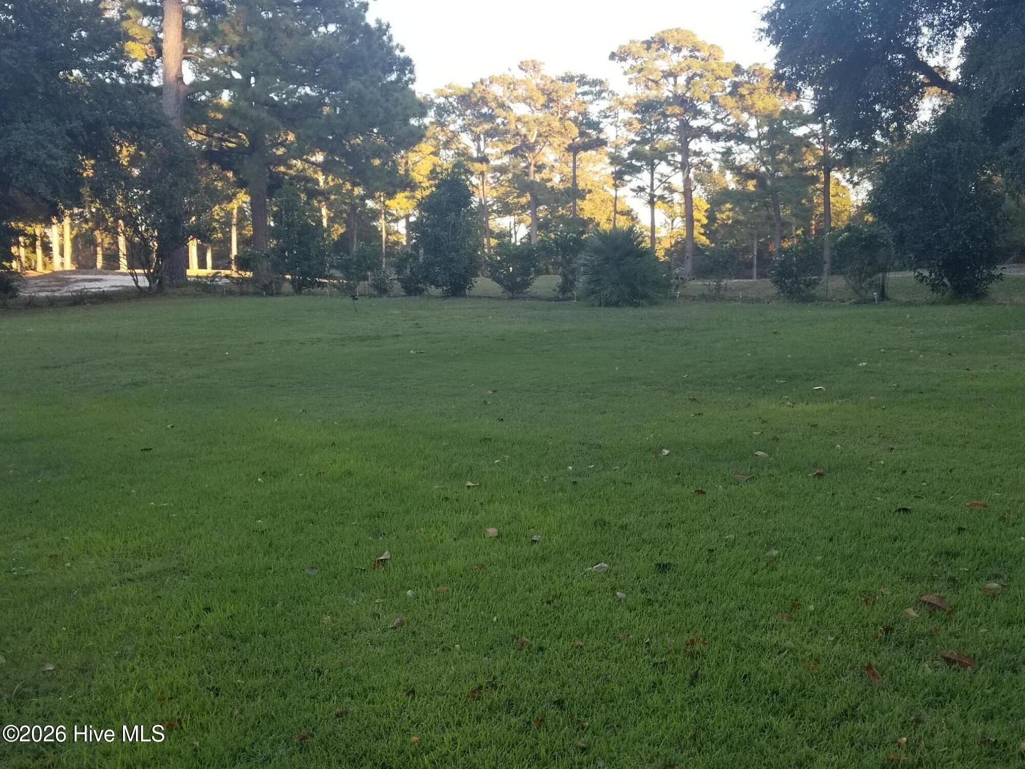 100554054 | Photo 16