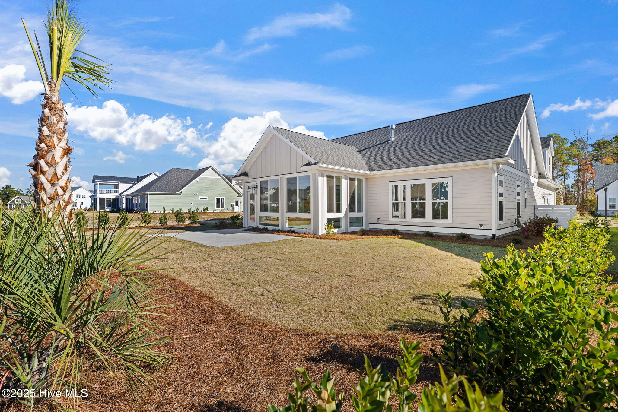 100522532 | Photo 55